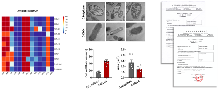 1675909294962735.png 002.png