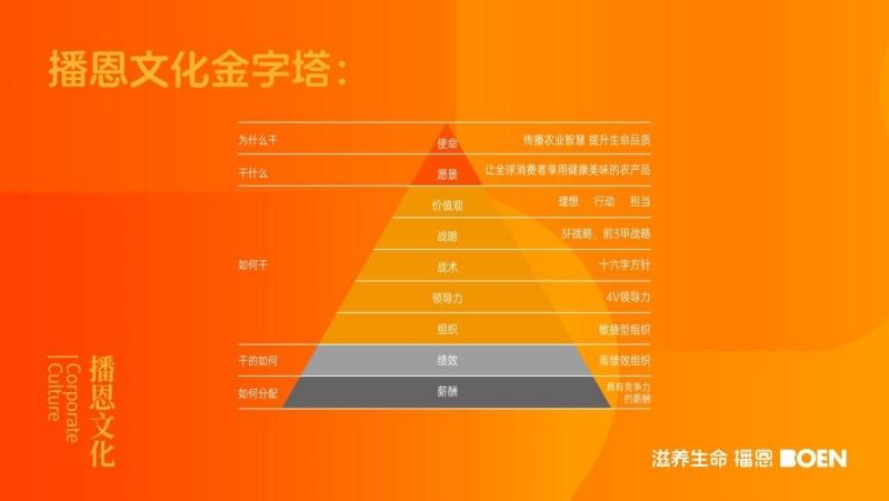 1731395822381956.jpg 11_副本.jpg