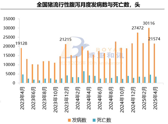 1750157025170130.png image.png