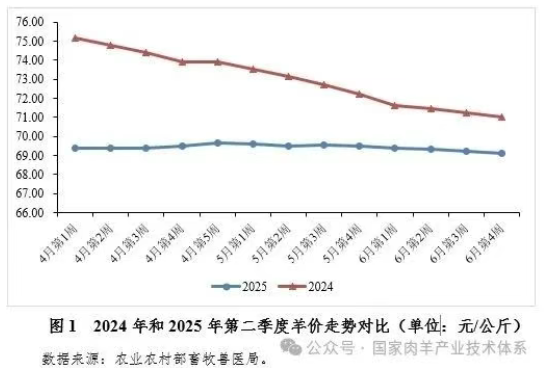 1754881324202725.png image.png