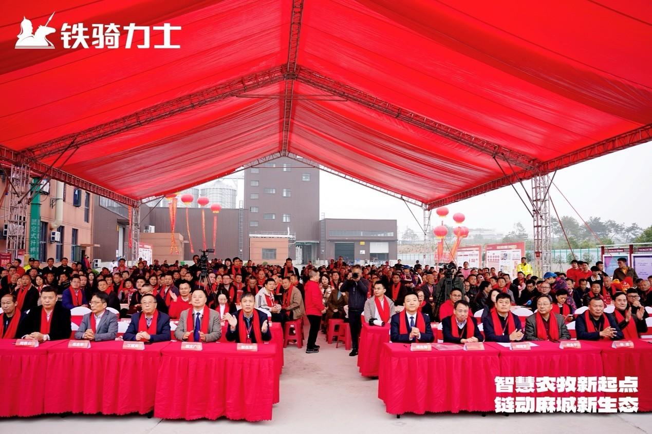 1762838983325689.jpg 1762838983325689.jpg