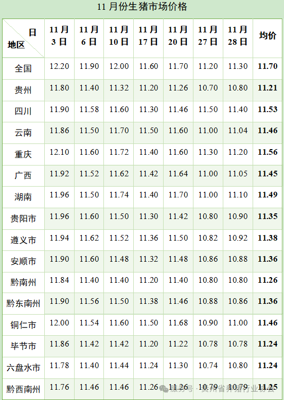 1770194961813755.png 640 (10).png